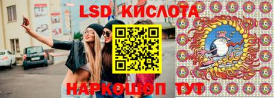 стаф Шелехов