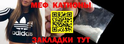 стаф Шелехов