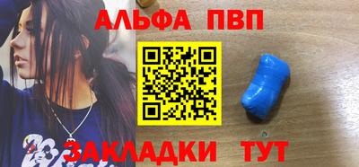 стаф Шелехов
