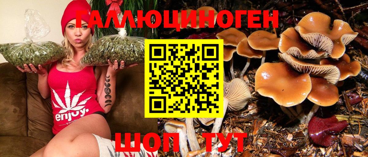 Псилоцибиновые грибы GOLDEN TEACHER  где продают наркотики  Псилоцибиновые грибы Psilocybe  Боровичи  Вход с VPN 